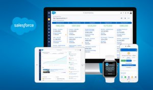 salesforce lightning professional