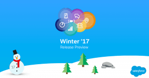 salesforce winter