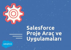 1 salesforce crm is ortagi secimi