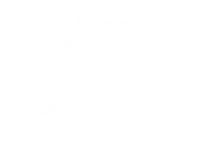 500+ Projects